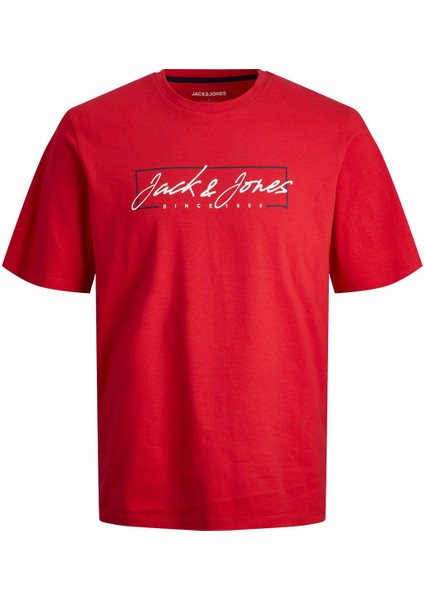 Jack & Jones Erkek Tişört 12247779 12247779003