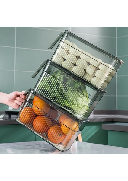 Buzdolabı Saklama Kutusu Zaman Işleyişi Gıda Organizatör Kutusunu Saplı Şeffaf Malzeme Fotoğraf Rengi Tutmak (Yurt Dışından) indirimleri