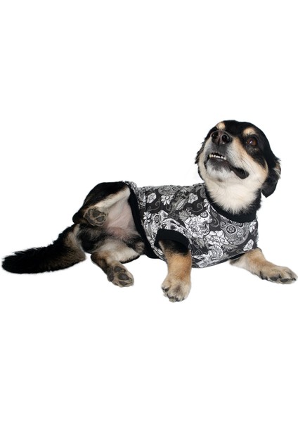 Kuru Kafa Desenli Penye Kumaş Köpek Tişört fiyatları