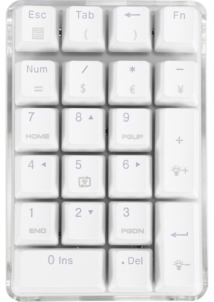 Mekanik Sayısal Tuş Takımı Gateron Kahverengi Anahtarı Kablolu Oyun Tuş Takımı Kristal Kasa Beyaz Arkadan Aydınlatmalı 21 Tuşlar Mini Numpad Tuş Takımı (Yurt Dışından)