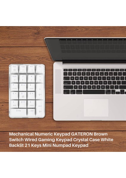 Mekanik Sayısal Tuş Takımı Gateron Kahverengi Anahtarı Kablolu Oyun Tuş Takımı Kristal Kasa Beyaz Arkadan Aydınlatmalı 21 Tuşlar Mini Numpad Tuş Takımı (Yurt Dışından) fiyatları