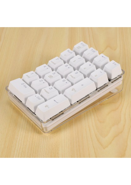 Mekanik Sayısal Tuş Takımı Gateron Kahverengi Anahtarı Kablolu Oyun Tuş Takımı Kristal Kasa Beyaz Arkadan Aydınlatmalı 21 Tuşlar Mini Numpad Tuş Takımı (Yurt Dışından) indirimleri