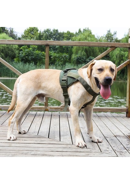 Köpek Yeleği Tarzı Göğüs Kablo Demeti (Yurt Dışından)