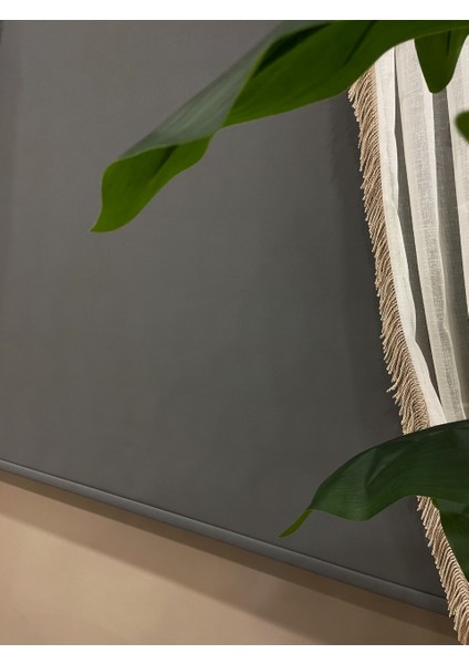 Koyu Gri Stor Perde Kalın Polyester Kumaş Alüminyum Kasa ile Modern Tasarım modelleri