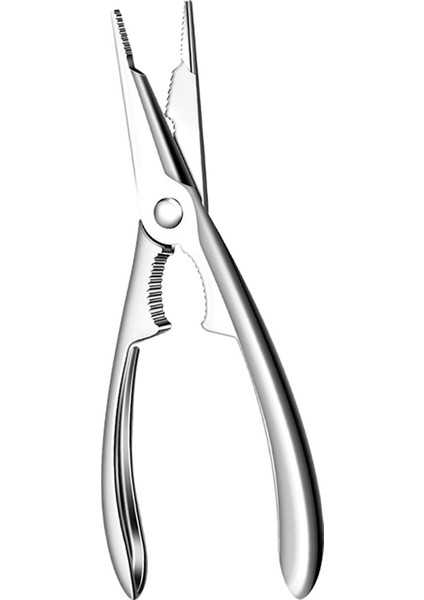 Parti Malzemeleri Ev Sho Için Istakoz Fındıkkıran Ürünleri I Fındıkkıran (Yurt Dışından)