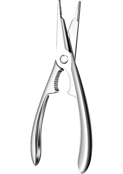 Parti Malzemeleri Ev Sho Için Istakoz Fındıkkıran Ürünleri I Fındıkkıran (Yurt Dışından) indirimleri