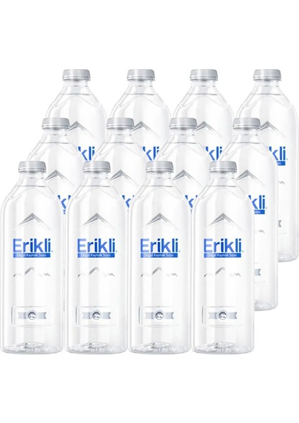 Premium Su Cam Pet 330 ml x 12 Adet