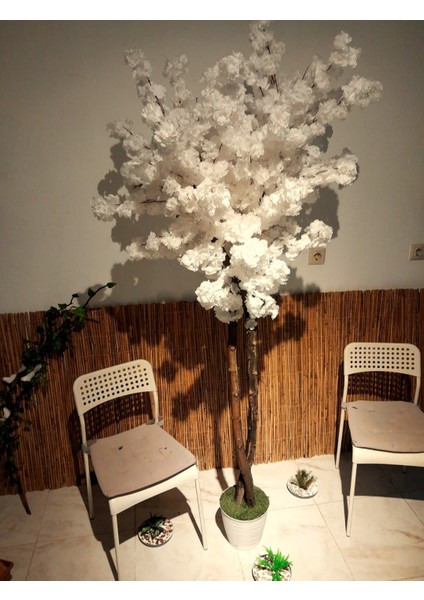Yapay Beyaz Bahardalı Ağacı Bahar Dalı Çiçek 1.90 mt Boy Doğal Görünüm