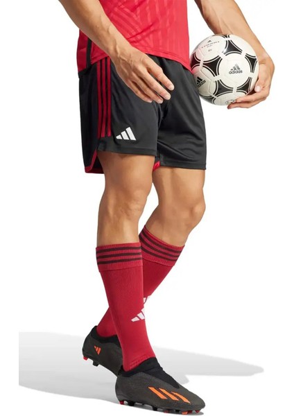 Erkek Bjk 3 Şort fiyatları