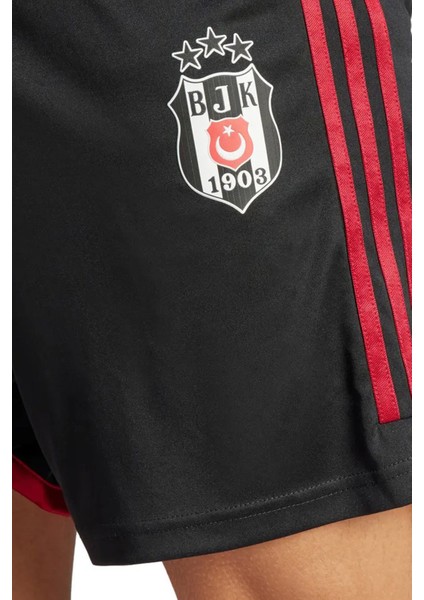 Erkek Bjk 3 Şort fırsatları