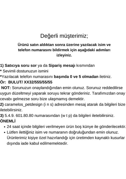 Isimli Kişiye Özel Orta ve Büyük Irk Ayarlanabilir Köpek Boyun Tasması 2,5 cm