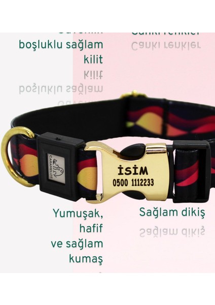 Isimli Kişiye Özel Orta ve Büyük Irk Ayarlanabilir Köpek Boyun Tasması 2,5 cm