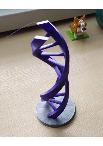 Dna Modeli Sarmal