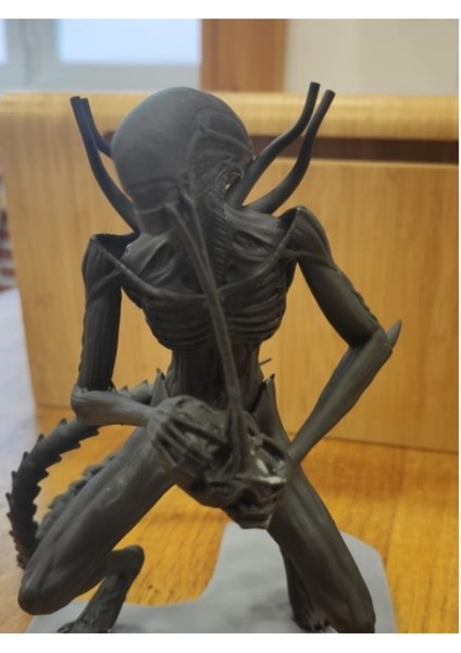 Beslenen Alien Xenomorph Biblo modelleri