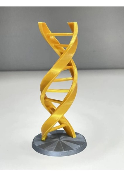 Dna Modeli Sarmal