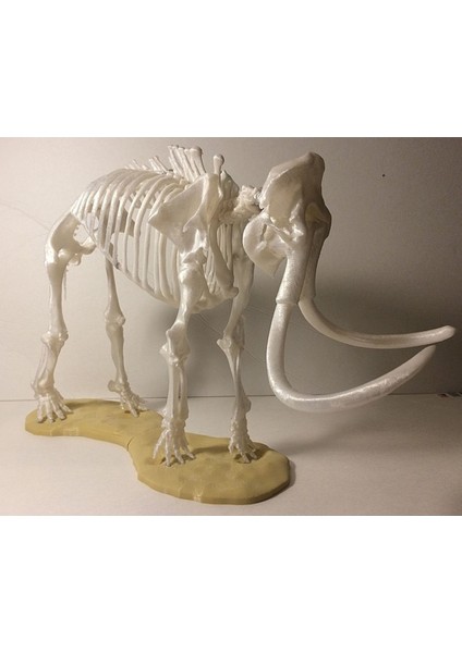 Mamut Iskeleti Heykel 20 cm