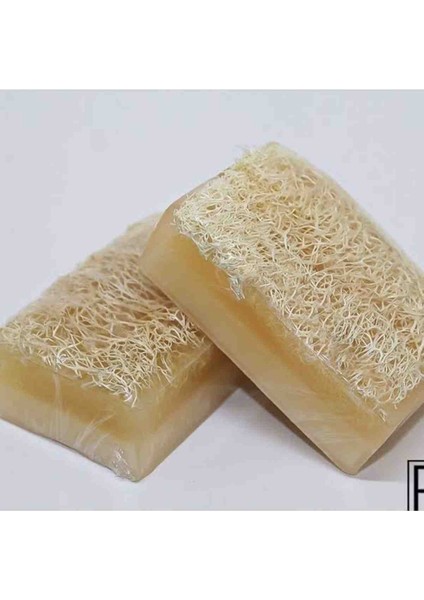 2’Li Doğal Kabak Lifli -Eşek Sütlü -Kantaron Sabunu fiyatları