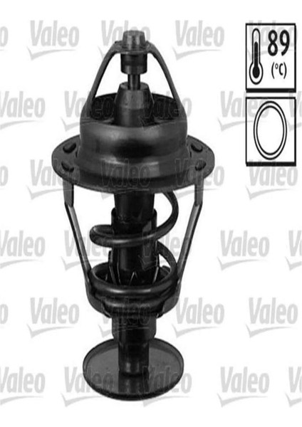 Termostat 106 Saxo (819897-1338C8-133821)
