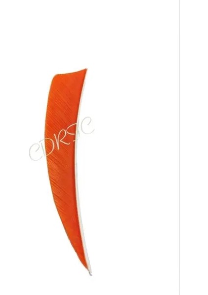 Turuncu Tarzı Olor Türkiye Tüyü Sağ Kalkan Okçuluk Ok Aksesuarları Ahşap Bambuya Uygulayın. Karbon. Cam Elyaf Ok Mili (Yurt Dışından)