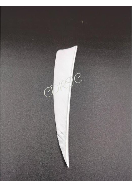 Beyaz Stil Olor Türkiye Tüyü Sağ Kalkan Okçuluk Ok Aksesuarları Ahşap Bambuya Uygulayın. Karbon. Cam Elyaf Ok Mili (Yurt Dışından)