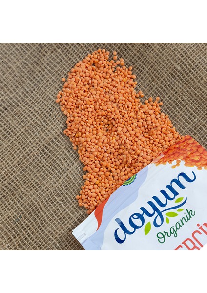 Organik Kırmızı Mercimek 1 kg modelleri