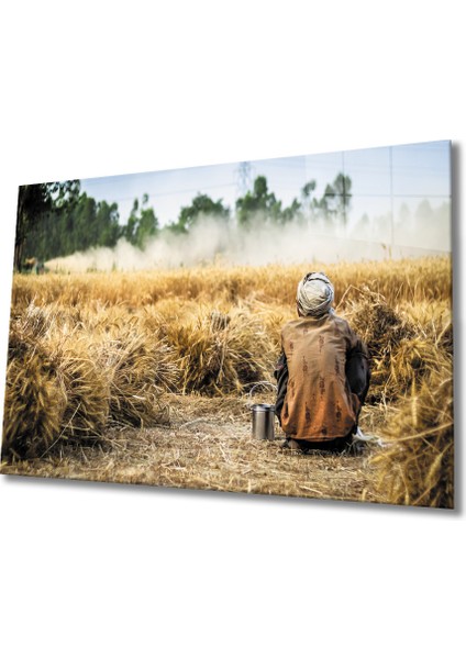 Buğday Cam Tablo 36 x 23-Mıyrem