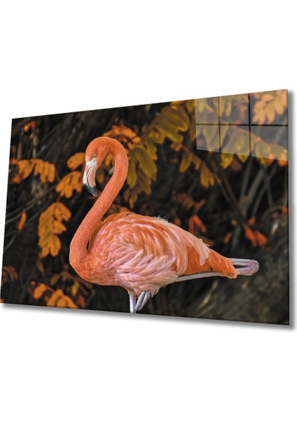 Flamingo Cam Tablo 36 x 23-Mıyrem