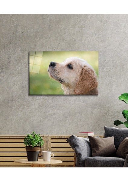 Köpek Cam Tablo 36 x 23-Mıyrem