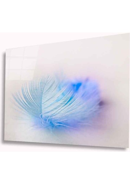 Tüy Cam Tablomıyrem36 x 23-Mıyrem