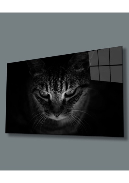 Kedi Hayvan Cam Tablo 36 x 23-Mıyrem