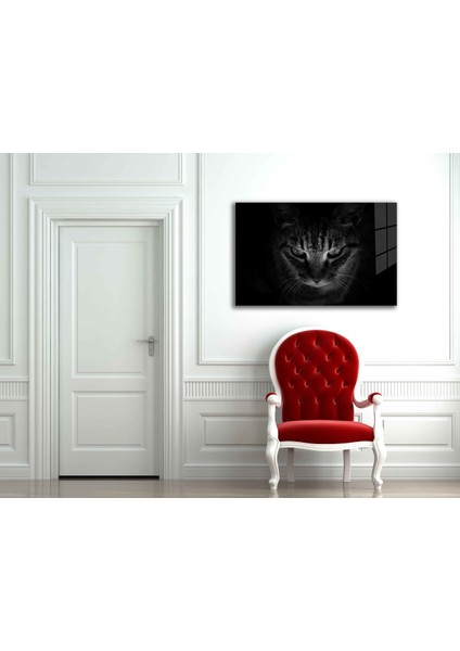 Kedi Hayvan Cam Tablo 36 x 23-Mıyrem fiyatları
