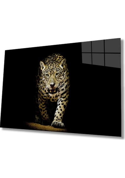 Kaplan Hayvan Cam Tablo 36 x 23-Mıyrem