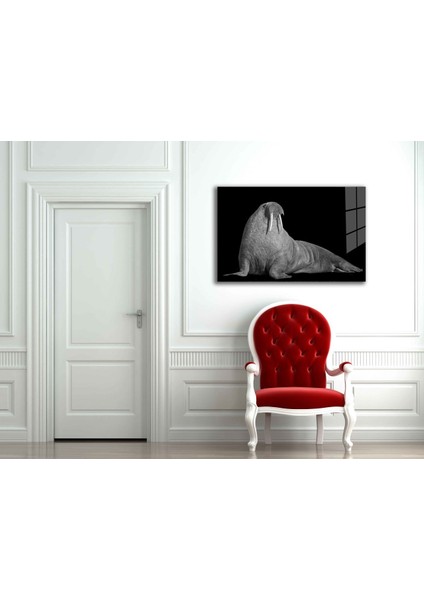 Deniz Aslanı Hayvan Cam Tablo 36 x 23-Mıyrem fiyatları