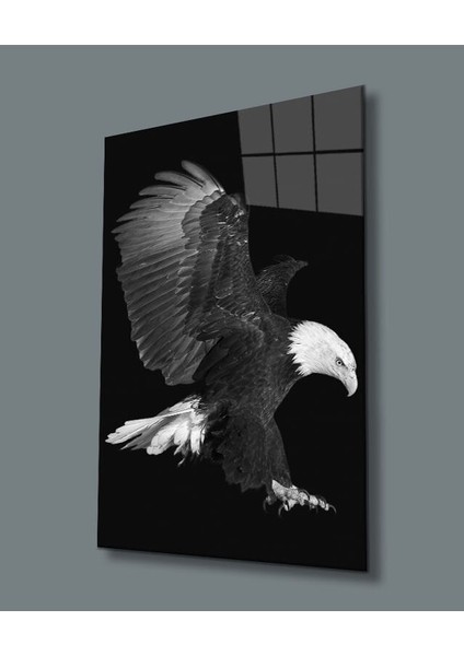 Kartal Hayvan Cam Tablo 36 x 23-Mıyrem