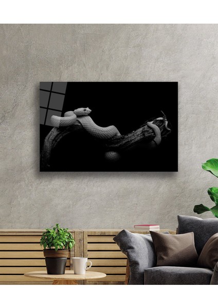 Yılan Hayvan Cam Tablo 36 x 23-Mıyrem
