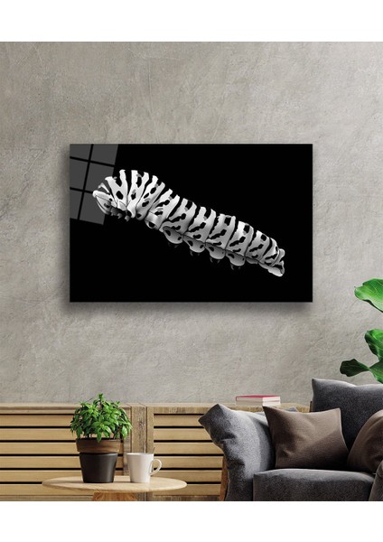 Tırtıl Hayvan Cam Tablo 36 x 23-Mıyrem fiyatları