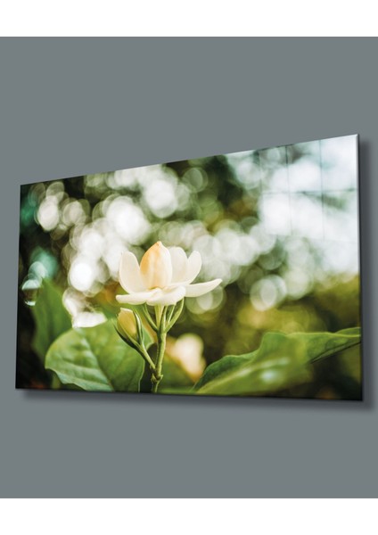 Çiçek Cam Tablomiyrem 36 x 23-Mıyrem