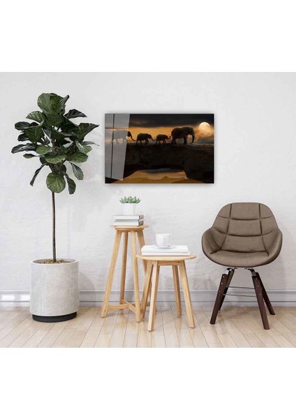 Filler Cam Tablomıyrem36 x 23-Mıyrem fiyatları