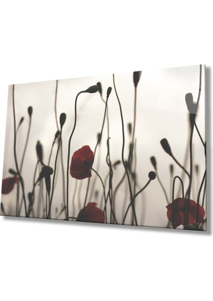 Gelincik Çiçeği Cam Tablomiyrem Poppy Flower 36 x 23-Mıyrem