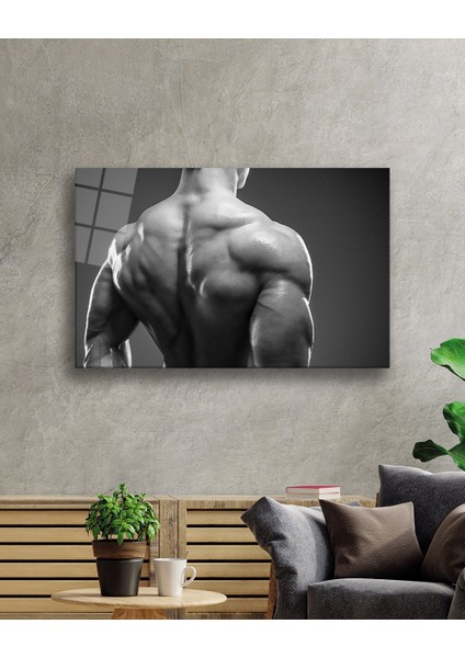 Spor Fıtnes Cam Tablomiyremsports Fitness 36 x 23-Mıyrem fiyatları