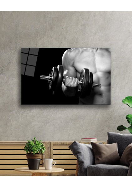 Spor Fıtnes Cam Tablomiyremsports Fitness 36 x 23-Mıyrem fiyatları