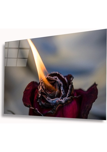 Ateş Ve Gül Cam Tablomıyrem36 x 23-Mıyrem