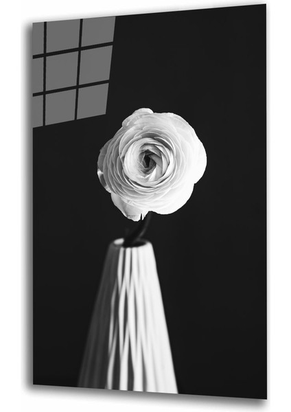 Beyazgül Cam Tablomıyrem36 x 23-Mıyrem