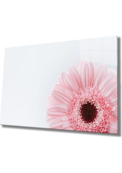 Çiçek Illüstrasyon Cam Tablo Flower Illustration Art 36 x 23-Mıyrem