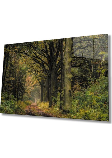 Orman Ağaçlar Yeşil Cam TABLOMIYREM36X23-MIYREM