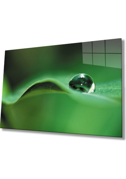 Su Damlası Yeşil Yaprak Cam Tablo 36X23-MIYREM