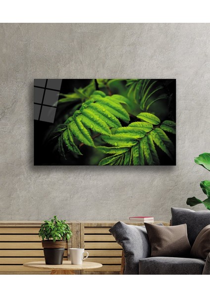 Su Damlası Yeşil Yapraklar Cam Tablo 36X23-MIYREM fiyatları