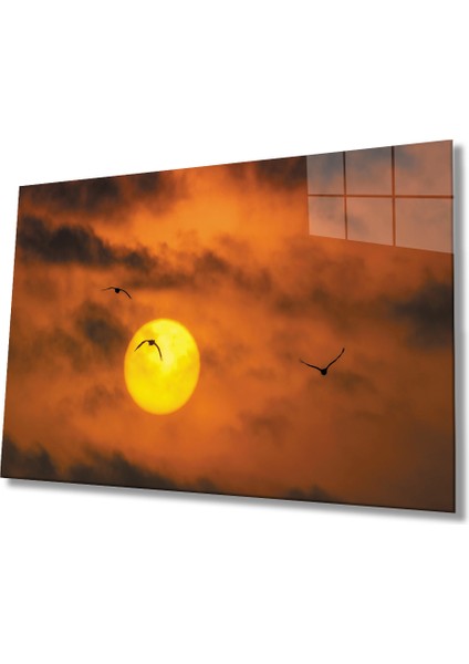 Gün Batımında Martılar Cam Tablo 36X23-MIYREM