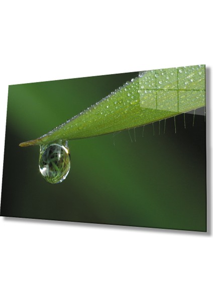 Su Damlası Yeşil Yaprak 36X23-MIYREM