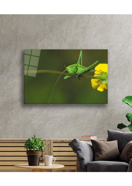 Sarı Çiçek Yeşil Çekirge Cam Tablo 36X23-MIYREM